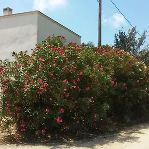 Pequena En El Centro Del Delta Del Ebro Amposta
